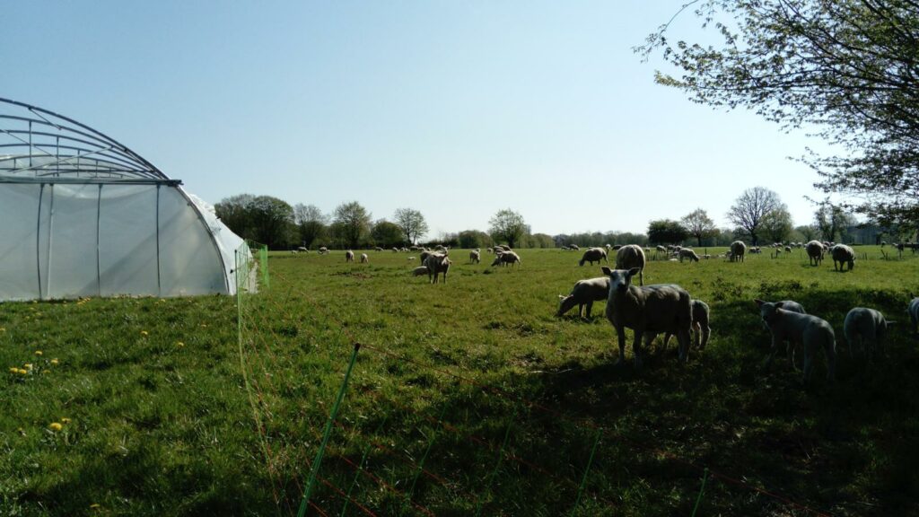 La pâture et les serres